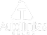 Auto Tintas